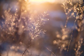 水之密语倍润型怎么样